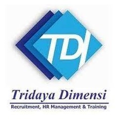 Logo PT. Tridaya Dimensi Indonesia